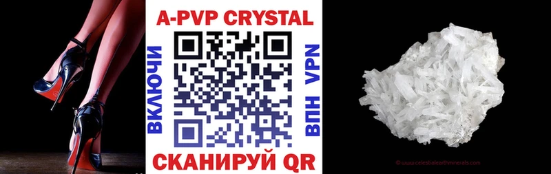 APVP СК Пошехонье