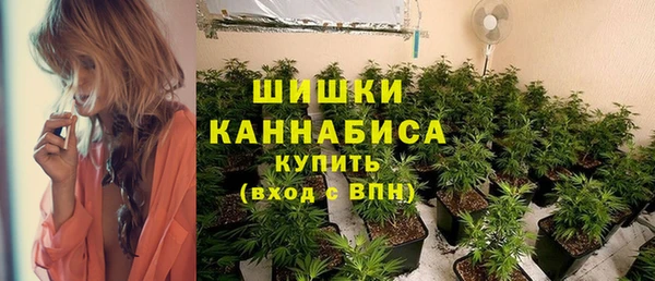 бутират Снежногорск
