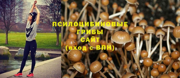 крисы Армянск